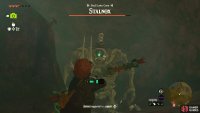 Aim for the eye of the !Stalnox to stun it