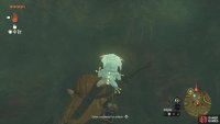 Behind the breakable wall will be the cave&rsquo;s !Bubbulfrog