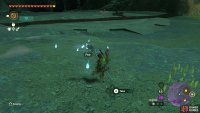 If you&rsquo;ve done the Water Temple, you&rsquo;ll pass a refight against Mucktorok.
