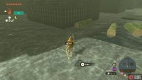You should always be on the lookout for these as you go through the maze
