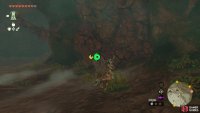 Look for this breakable rock wall on the one side