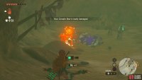 The !Gibdos inside the cave are weak to fire