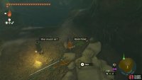 The materials on the floor needed to make the !Korok-Frond Guster