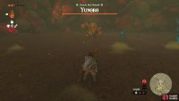 !Yunono will begin attacking Link after the cutscene.