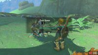 after which he&rsquo;ll reward you with a Zora Spear.