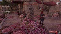 Make your way down to the flower pile and use it to assassinate the nearby guards.