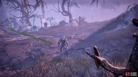 Defeat them, loot the area (Umbral Belly at the base of the hill), and take the path to the left.