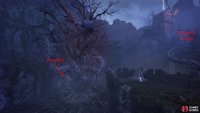 You can find the second in Abandoned Recopse near the large tree in the centre, below the windmill vestige.