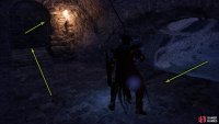 At the end of the path, head into the doorway, and take a right which will lead to a ladder leading up.