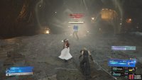 Rude will protect Elena, while she charges for a special attack.