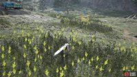 You&rsquo;ll want to stick to the tall grass when approaching Piko.
