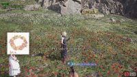 You can only pick each flower once, so don&rsquo;t worry.