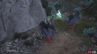 The Lifespring will be at the end of a path, after sliding down two chocobo walls.