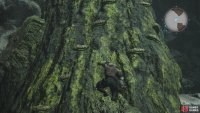 There is a diversion off to the right while climbing, which contains some materials.