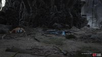 After defeating the Mystic Dragon you&rsquo;ll get two choices for Condor Food: Bovine Meat or Monster Flesh.