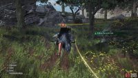 then track the fleeing bovine using the Junon Region&rsquo;s chocobo.