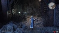 On the western end of the same area, there&rsquo;s a chest with some Gold Dust inside.