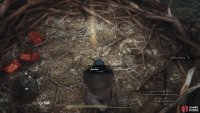 Loot the Griffin nest,
