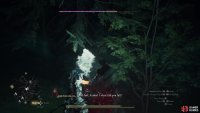 and the Dullahan may grab you and drain your health, inflicting a great deal of damage which cannot be healed without a full rest.