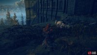 Forager Cookbook 1: Northwest of the Ruined Starfall site of Grace.