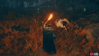 Forager Cookbook 3:  In the fields by the cliffside northeast of the Cerulean Coast site of Grace.