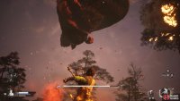 Sometimes, Guai will leap into the air and land on his back.