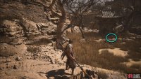 The Meditation Spot will be in the open area by the dilapidated structure.