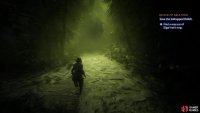 Exhaust your options exploring Elgar&rsquo;nan&rsquo;s trap,