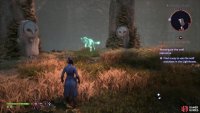 then reach the end of the area to find the Fen&rsquo;Harel statuette to the north.