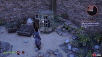 Once the Antaam have been routed, free a caged Antivan Crow to complete this quest.