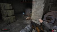 When fighting the Pseudodog, pay attention to what one is the real dog, and not the illusion.