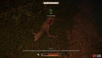 You&rsquo;ll find some signs of Mutt just west of Bozhena&rsquo;s Hut.