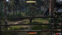 To find an examine the black horse from the stories you&rsquo;ve been hearing.