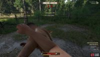 Defeat all the Unarmed contenders during three related quests to unlock the &ldquo;Henry the Bruiser&rdquo; achievement.