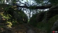 specifically you&rsquo;re looking for a path leading between two rocks, under a fallen tree, north of Castle Trosky.