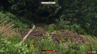 follow the stream until you find a natural bridge, then cross it,