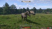 Search the horse pen to spot a familiar looking mare&hellip;
