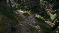 until you find some white rocks on the forest floor in Apollonia,