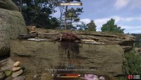 Technically all you need to do is find a butchered sheep in the bandit camp,