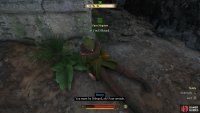 then search around the western tower to find Nikvard,