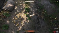where you&rsquo;ll find it growing, free to harvest.