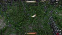 Comfrey must be found elsewhere - the herb garden outside of the alchemist&rsquo;s shop in Troskowitz is an easy spot to get some.