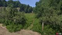 Follow the road running along the northern coast of Rocktower Pond until you find a trail leading into a grassy field,