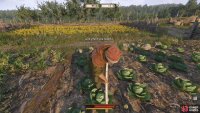 Near the entrance, you&rsquo;ll find Peter working away in the cabbage patch.