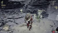 Go toward the north wall on your Seikret and then run and jump to grab the ledge above.