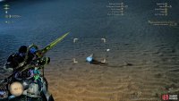 Once you&rsquo;ve knocked it down, equip the Capture Net and quickly scoop it up.