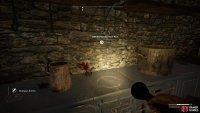Then loot the Greenhouse Hut Key in the kitchen.