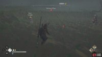You may see some non-quest enemies decide to join the battle.