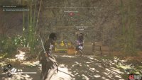 Unlike the others, she&rsquo;ll be using a kusarigama as a weapon.
