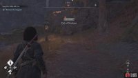 The Path of Shadows activity is very close to the dead animal.